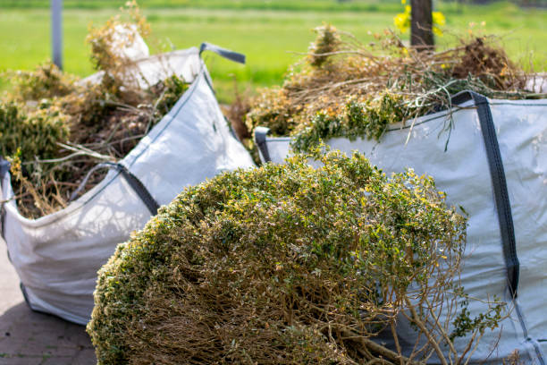 Best Dumpster Rental Services  in Compo, CT